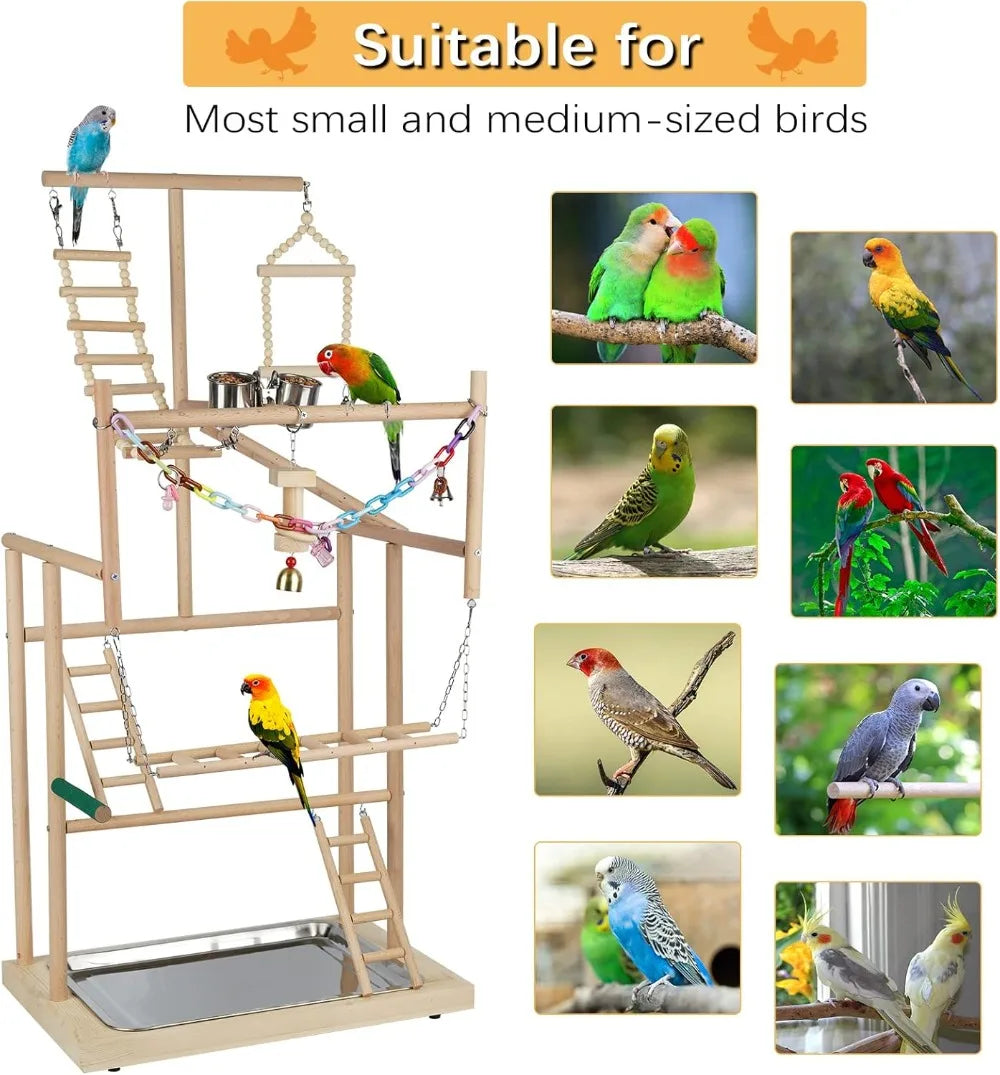 4-Layer Parrot Playstand Wood Perch Gym with Feeder Cup