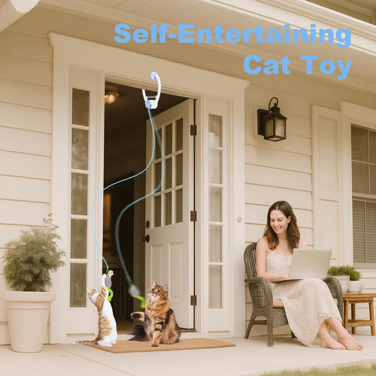Interactive Cat Toy USB Rechargeable Self Play