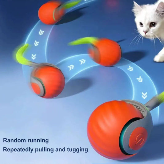 Interactive Pet Toy