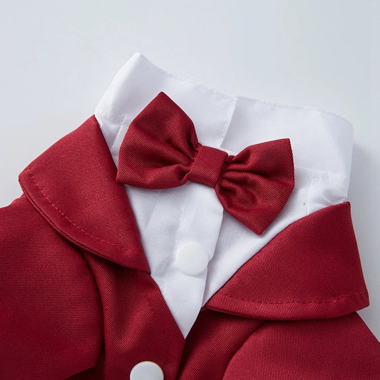 Pet Tuxedo for Dogs