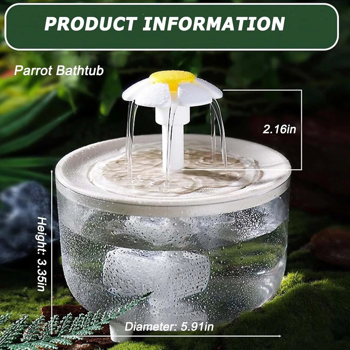 Indoor Bird Bath