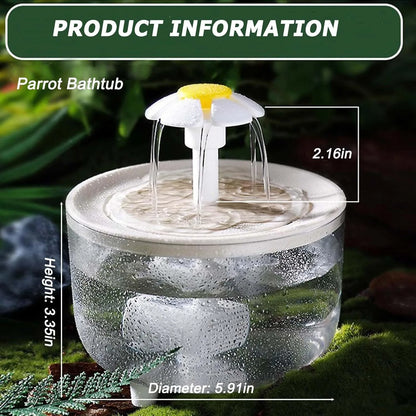Indoor Bird Bath