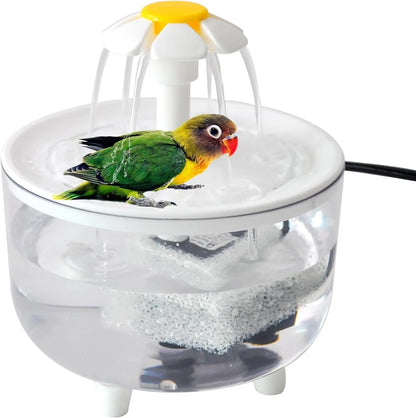 Indoor Bird Bath