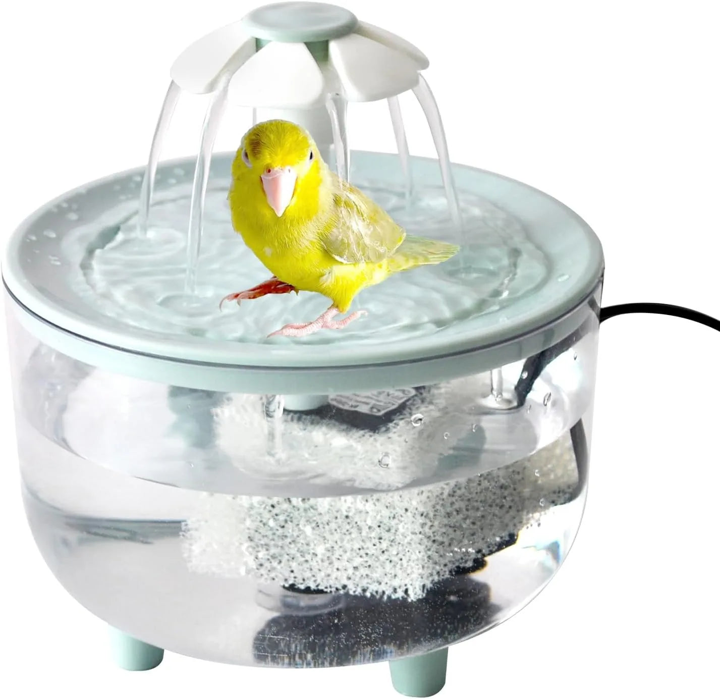 Indoor Bird Bath