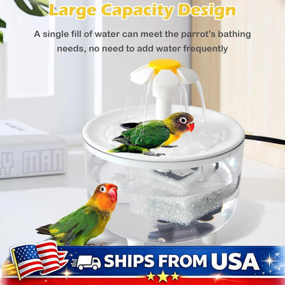Indoor Bird Bath