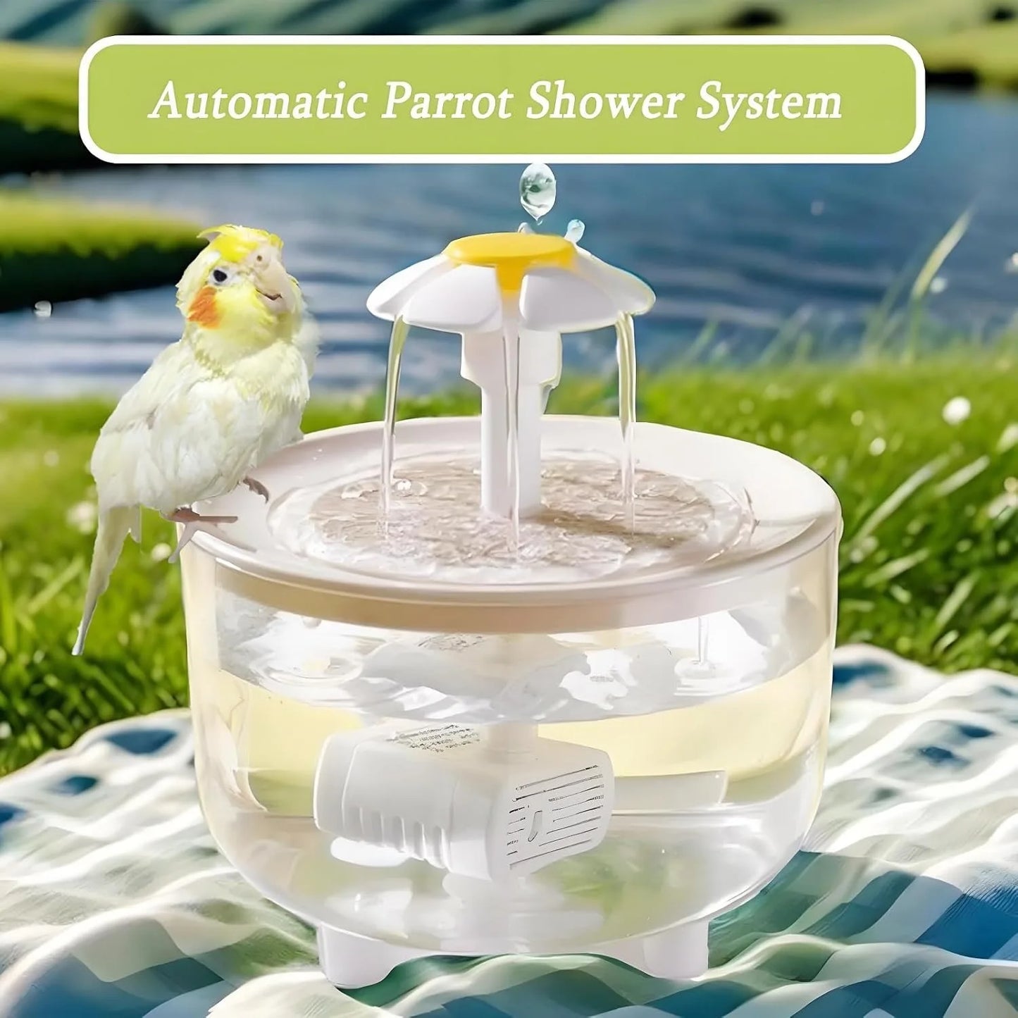 Indoor Bird Bath