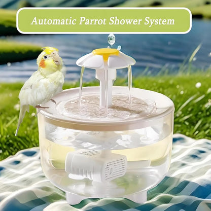 Indoor Bird Bath