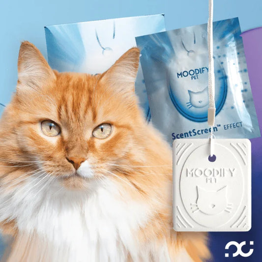 Cat Litter Box Smell Eliminator