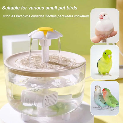 Indoor Bird Bath