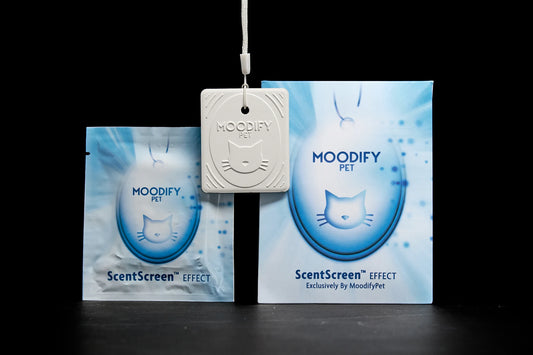 Cat Litter Box Smell Eliminator