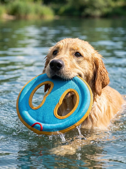 Frisbee Dog Toy