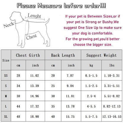 Luxury Dog Clothes for Small Dogs