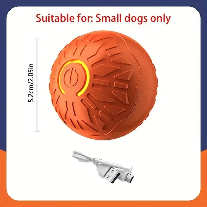 Smart Dog Ball