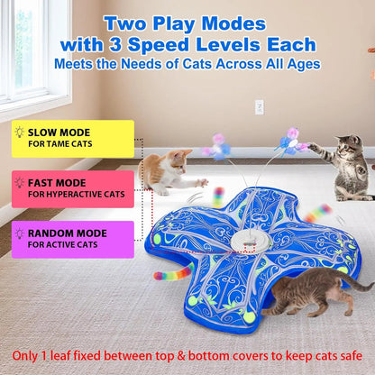Interactive Cat Toys