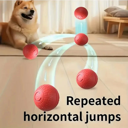 Smart Dog Ball