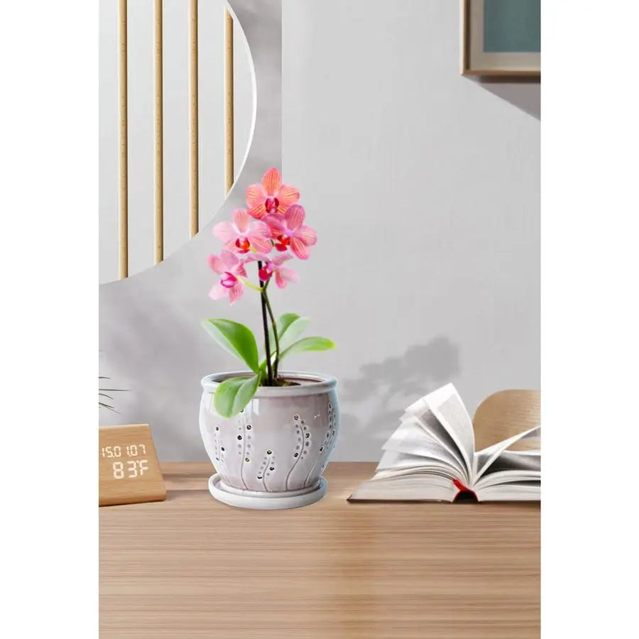 Ceramic Orchid Pot