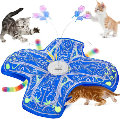 Interactive Cat Toys