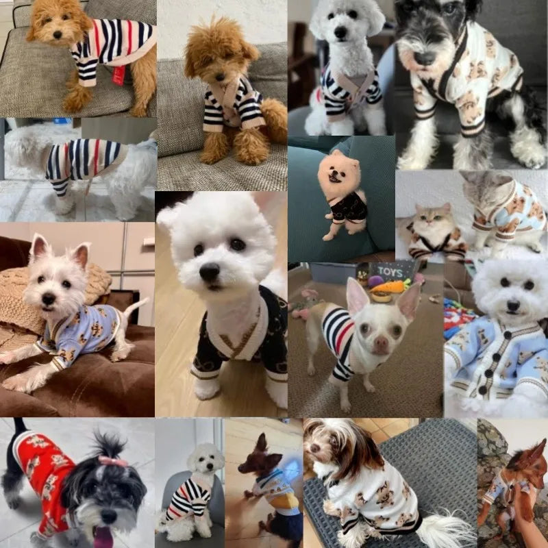 Luxury Dog Clothes for Small Dogs