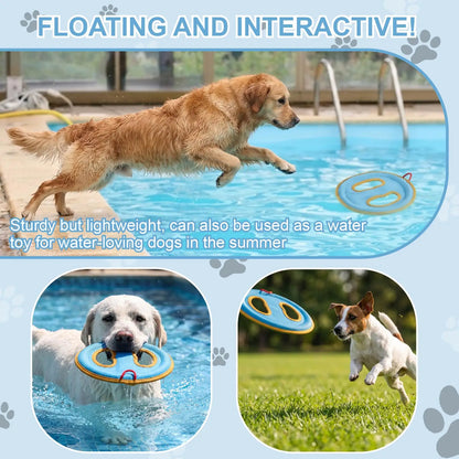 Frisbee Dog Toy