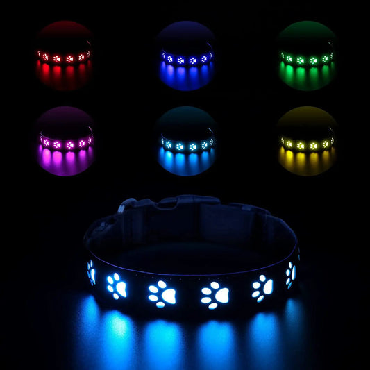 Rechargeable LED Dog Collar