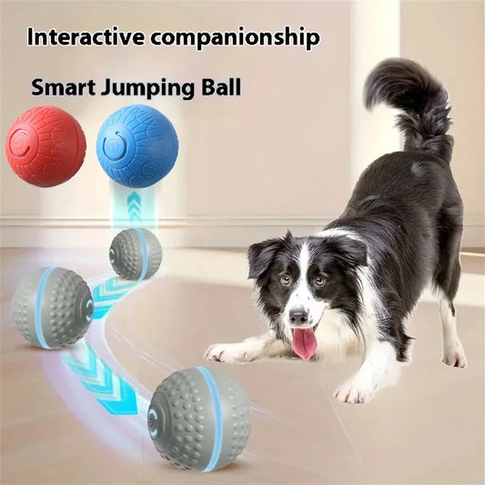 Smart Dog Ball