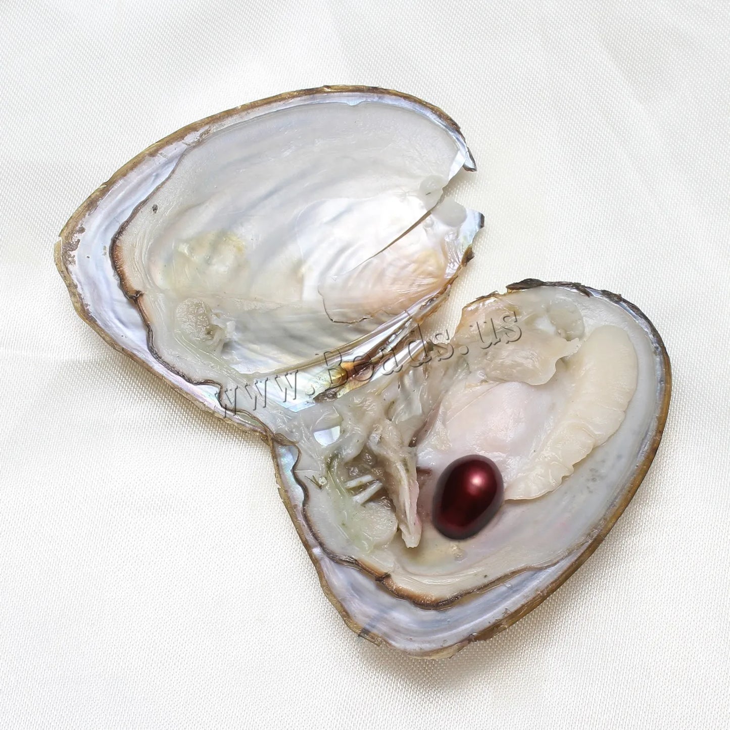 50PCs 7-8mm Freshwater Pearl Beads