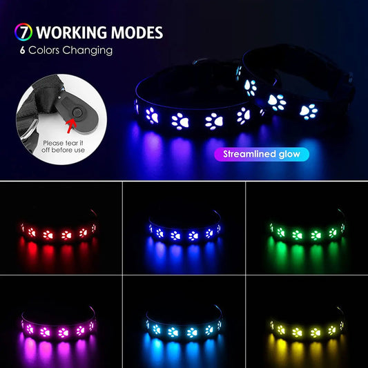 Rechargeable LED Dog Collar