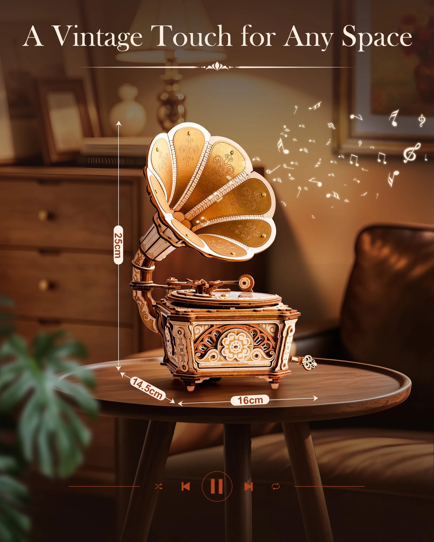 Gramophone 3D Wooden Puzzle