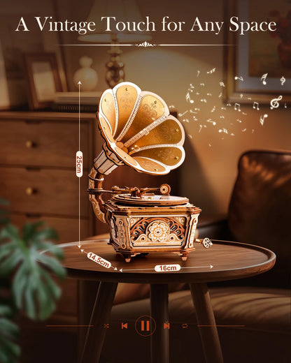 Gramophone 3D Wooden Puzzle