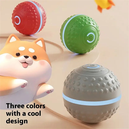 Smart Dog Ball