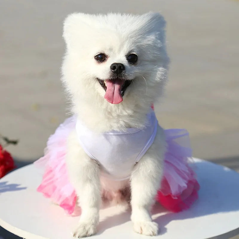 Sweet Princess Dress for Small Dogs