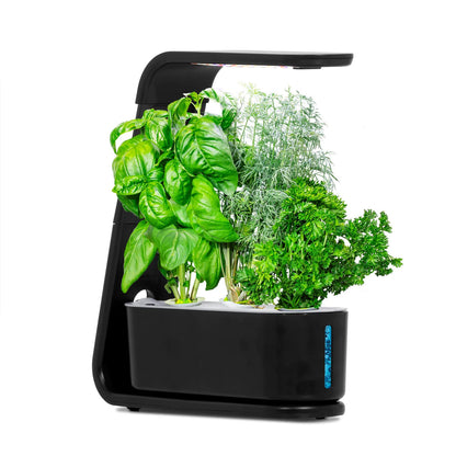 Hydroponics Growing System