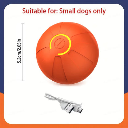 Smart Dog Ball
