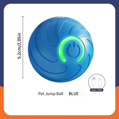 Smart Dog Ball