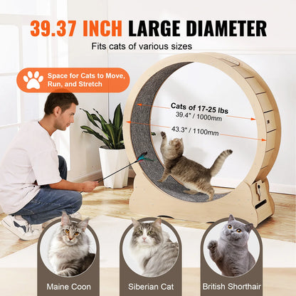 Wooden Cat Treadmill