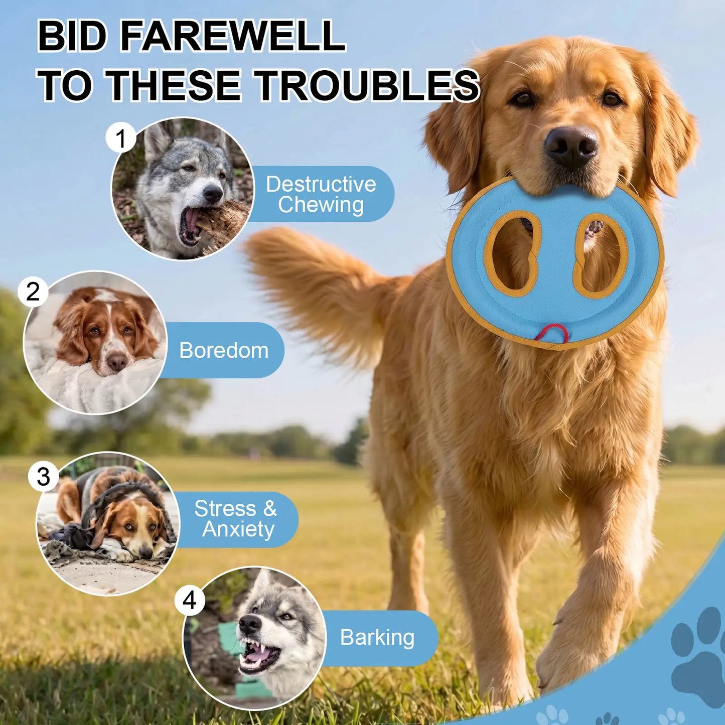 Frisbee Dog Toy
