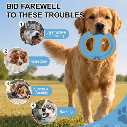Frisbee Dog Toy