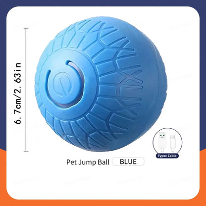Smart Dog Ball