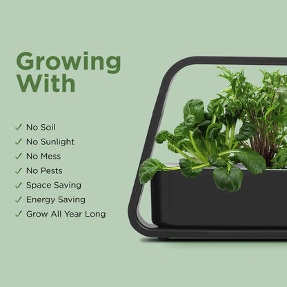 Hydroponics Growing System