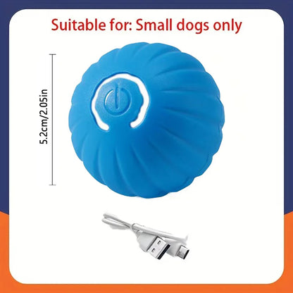 Smart Dog Ball