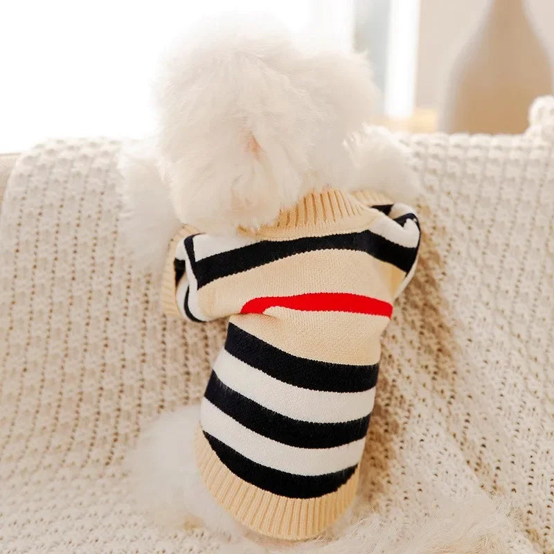 Luxury Dog Clothes for Small Dogs