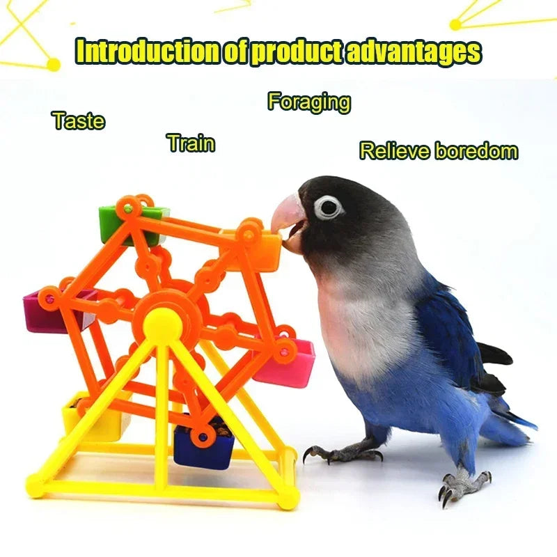Parrot Feeder Rotate Training Toys