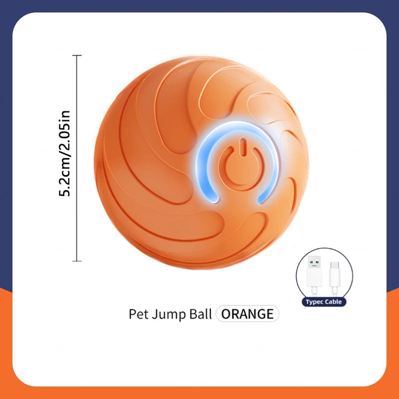 Smart Dog Ball