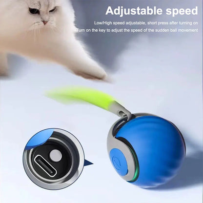 Interactive Pet Toy Moving Ball, Rechargeable