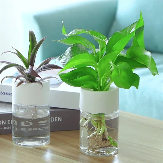 Mini Hydroponic Flowerpot