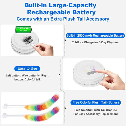 Interactive Cat Toys