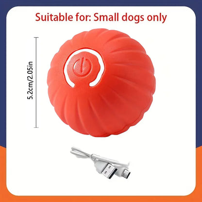 Smart Dog Ball
